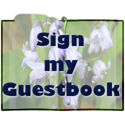 guestbook